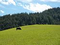 Alpentour_I-A_09-2010_Bild_197