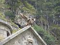 Alpentour_I-A_09-2010_Bild_291