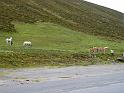 Alpentour_I-A_09-2010_Bild_305