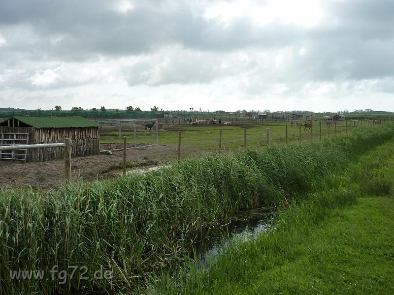 England_06-2012_Bild_028.jpg