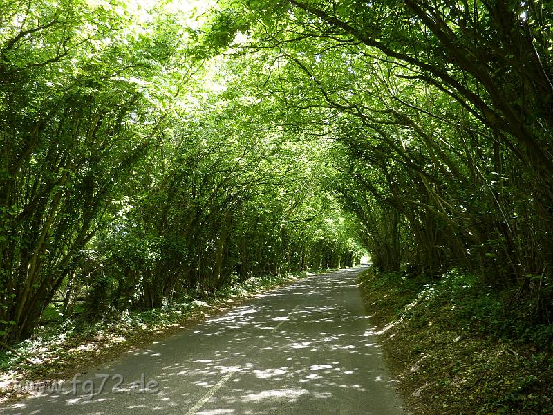 England_06-2012_Bild_035.jpg