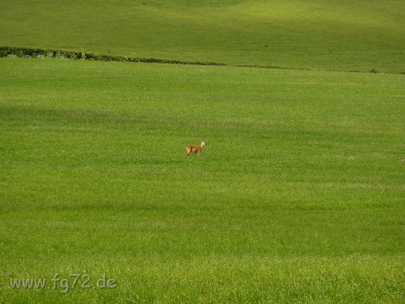 England_06-2012_Bild_074.jpg