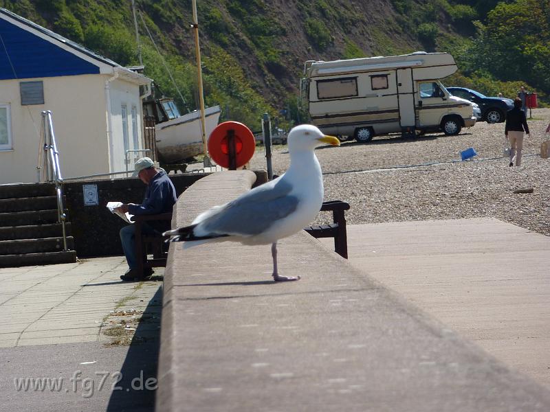 England_06-2012_Bild_087.jpg