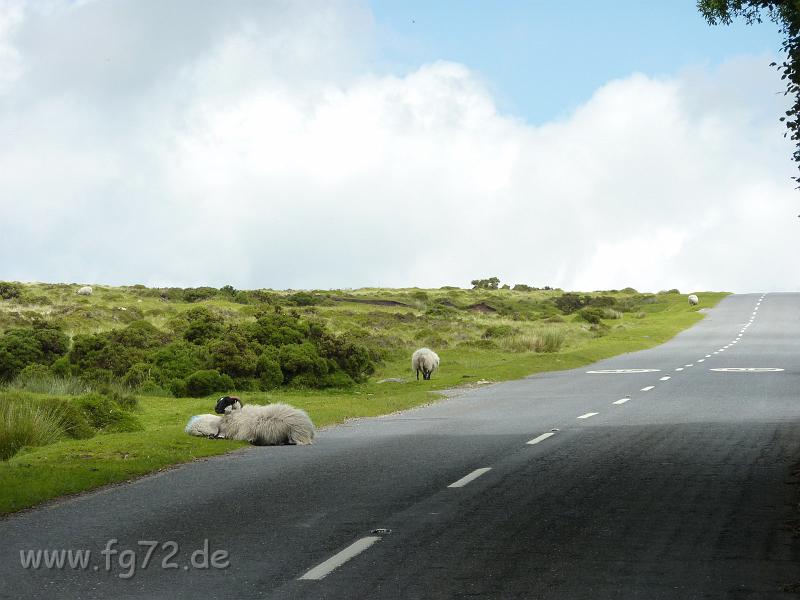 England_06-2012_Bild_107.jpg