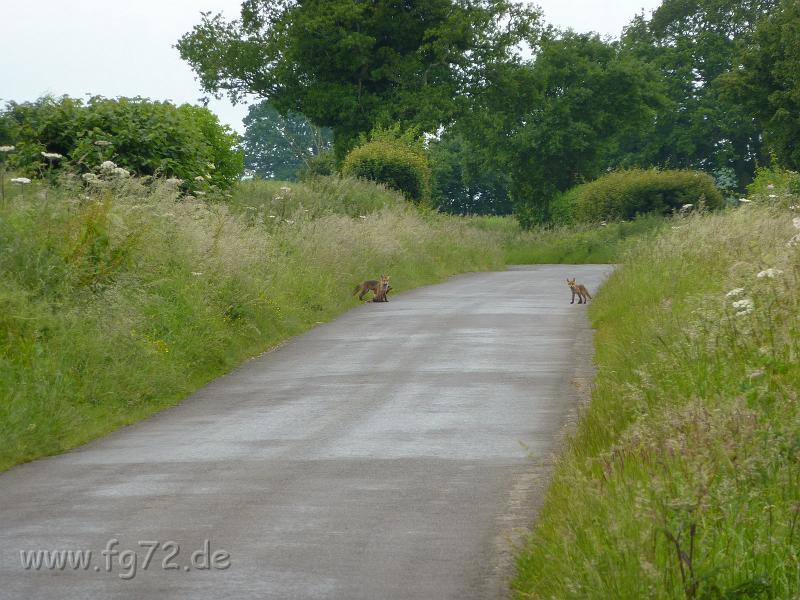 England_06-2012_Bild_289.jpg