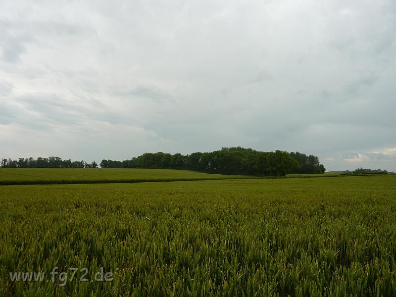 England_06-2012_Bild_299.jpg