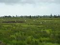 England_06-2012_Bild_029
