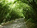 England_06-2012_Bild_035