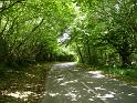 England_06-2012_Bild_036