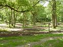England_06-2012_Bild_046