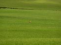 England_06-2012_Bild_074