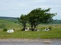 England_06-2012_Bild_256