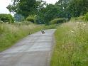 England_06-2012_Bild_287