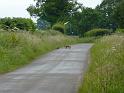England_06-2012_Bild_288