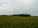 England_06-2012_Bild_299