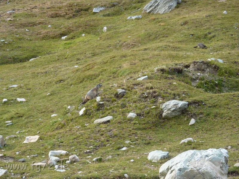 Seealpen_09-2012_Bild_045.jpg