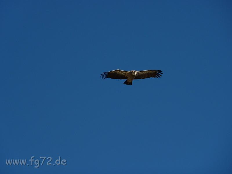 Seealpen_09-2012_Bild_202.jpg