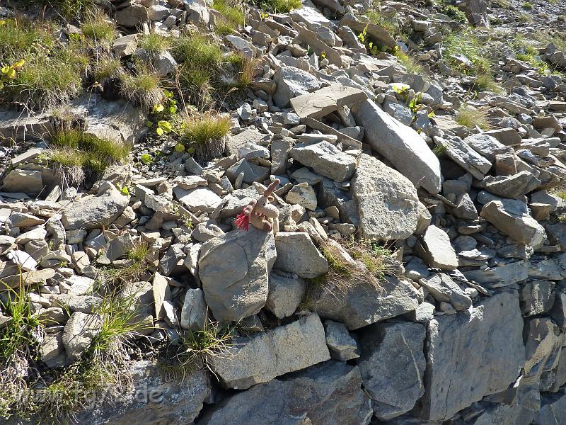 Seealpen_09-2012_Bild_252.jpg