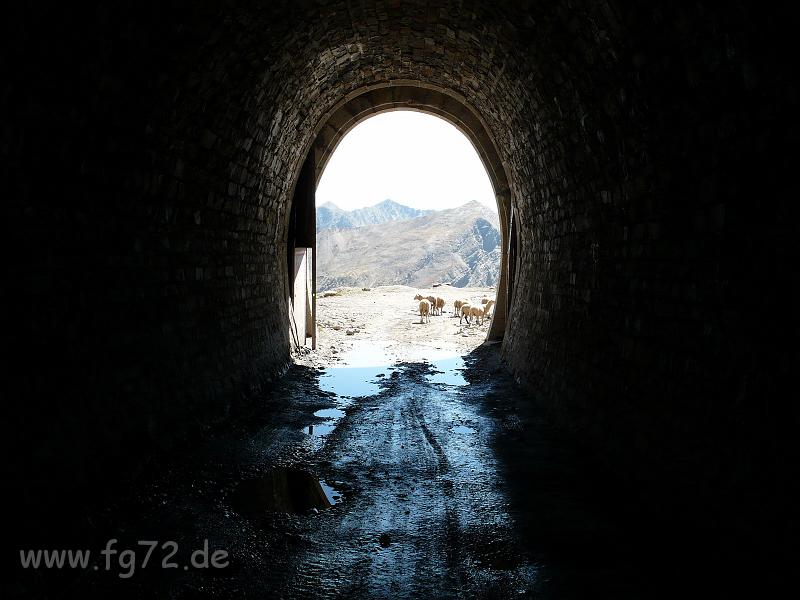 Seealpen_09-2012_Bild_260.jpg