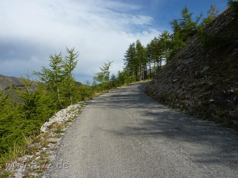 Seealpen_09-2012_Bild_329.jpg