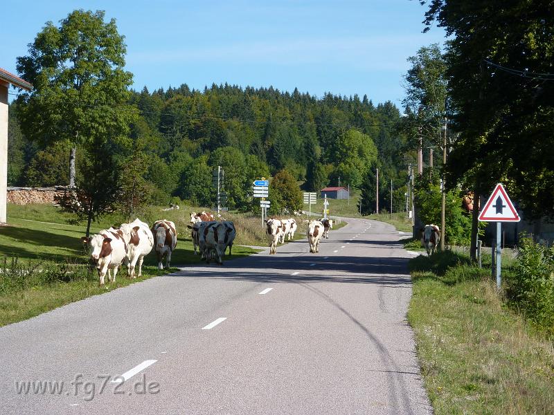 Seealpen_09-2012_Bild_387.jpg