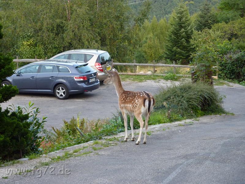 Seealpen_09-2012_Bild_396.jpg