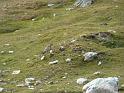 Seealpen_09-2012_Bild_045