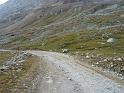 Seealpen_09-2012_Bild_046