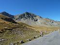 Seealpen_09-2012_Bild_228
