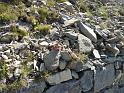 Seealpen_09-2012_Bild_252