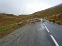 Seealpen_09-2012_Bild_366