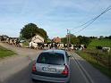 Seealpen_09-2012_Bild_392