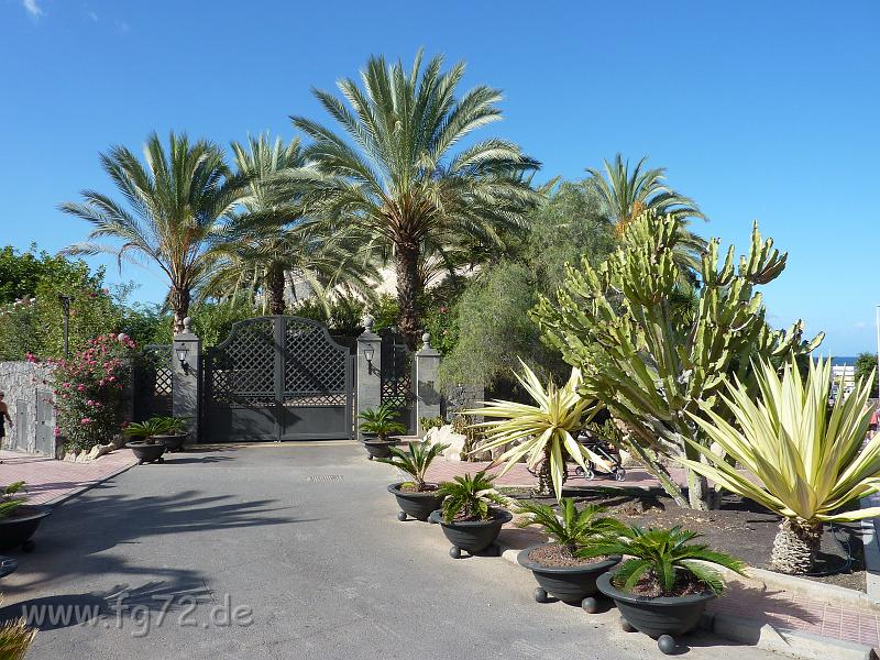 Teneriffa_11-2012_Bild_009.jpg