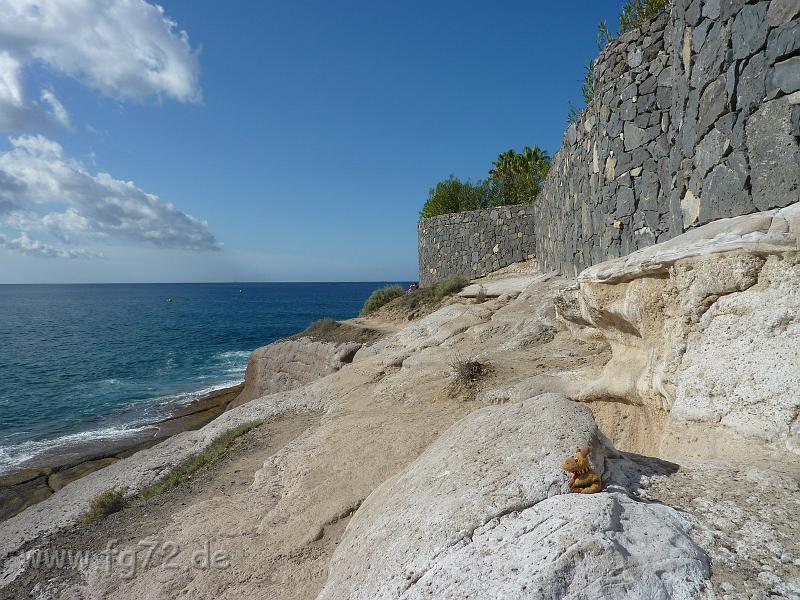 Teneriffa_11-2012_Bild_010.jpg