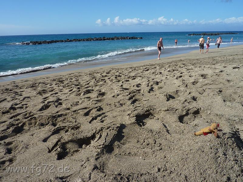 Teneriffa_11-2012_Bild_014.jpg