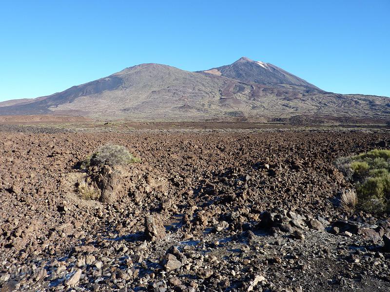 Teneriffa_11-2012_Bild_028.jpg