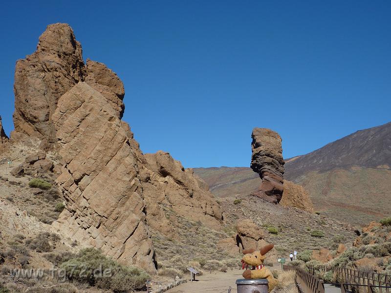 Teneriffa_11-2012_Bild_036.jpg