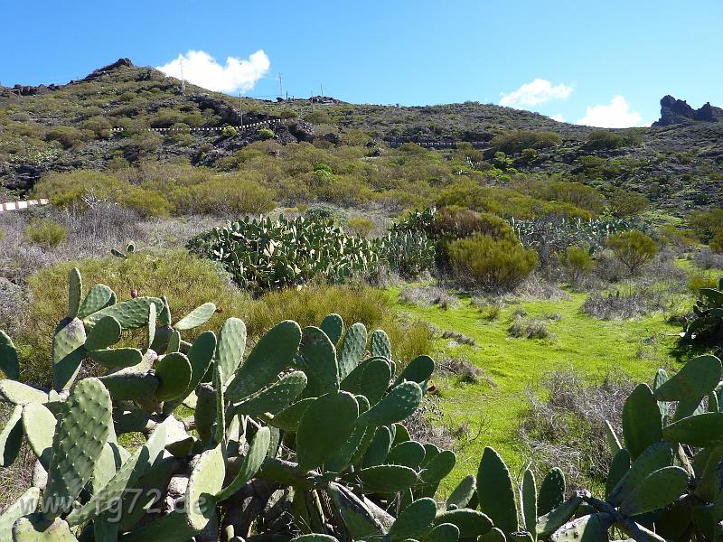 Teneriffa_11-2012_Bild_051.jpg