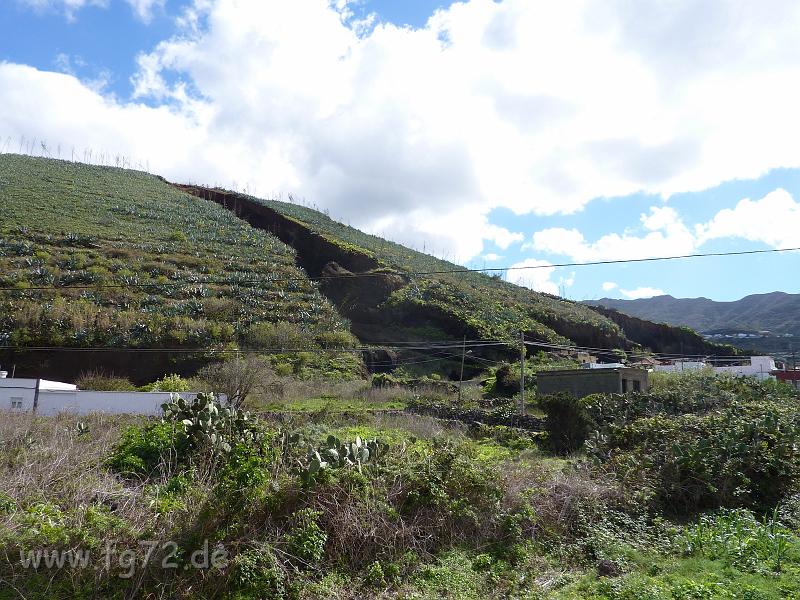 Teneriffa_11-2012_Bild_056.jpg