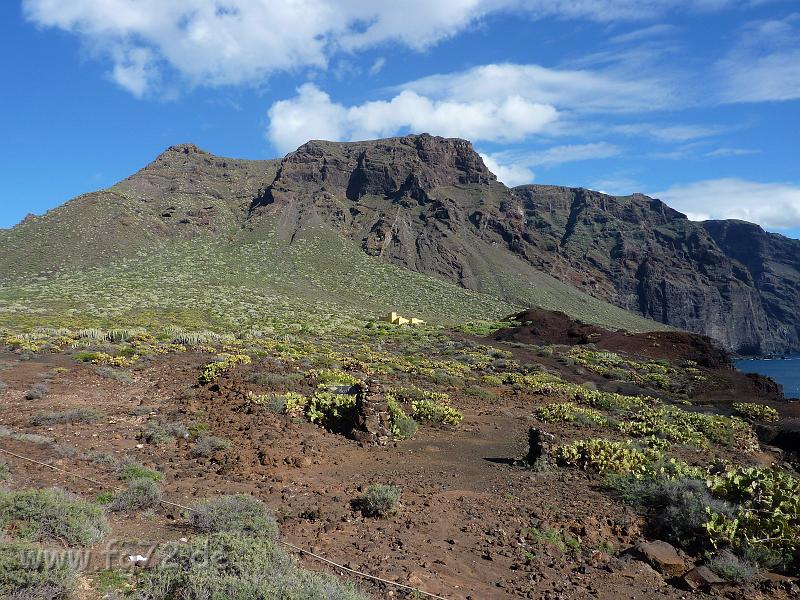 Teneriffa_11-2012_Bild_067.jpg