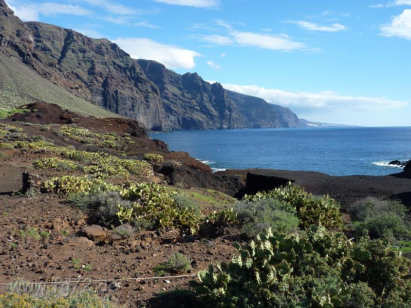 Teneriffa_11-2012_Bild_068.jpg