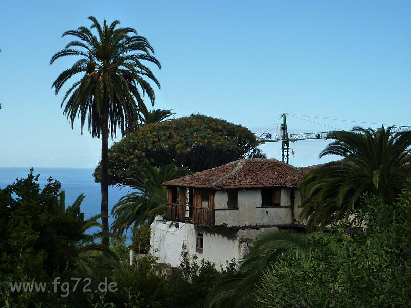 Teneriffa_11-2012_Bild_075.jpg