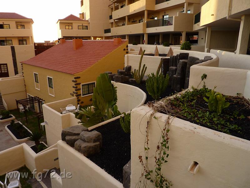 Teneriffa_11-2012_Bild_079.jpg