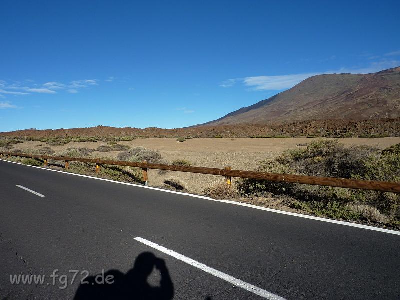 Teneriffa_11-2012_Bild_116.jpg