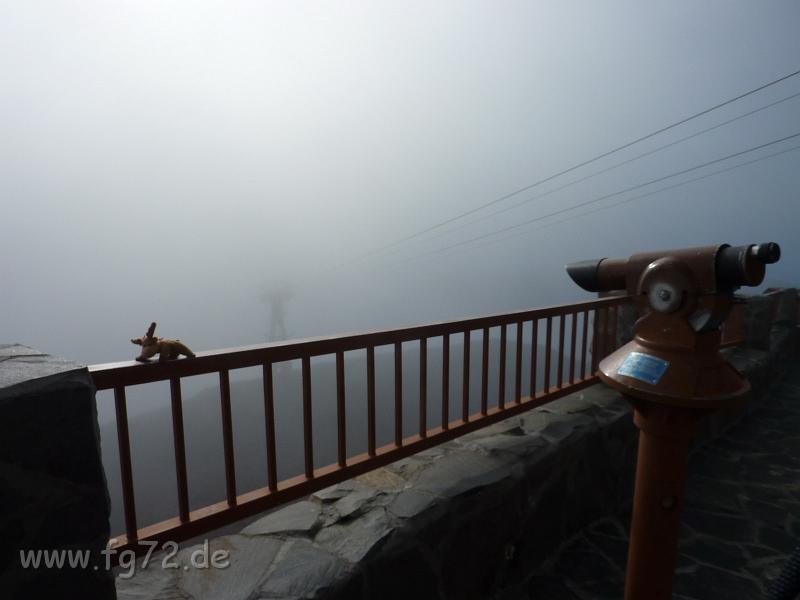 Teneriffa_11-2012_Bild_121.jpg