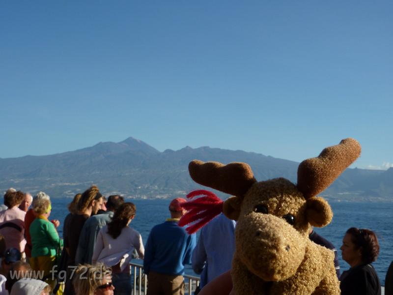 Teneriffa_11-2012_Bild_155.jpg