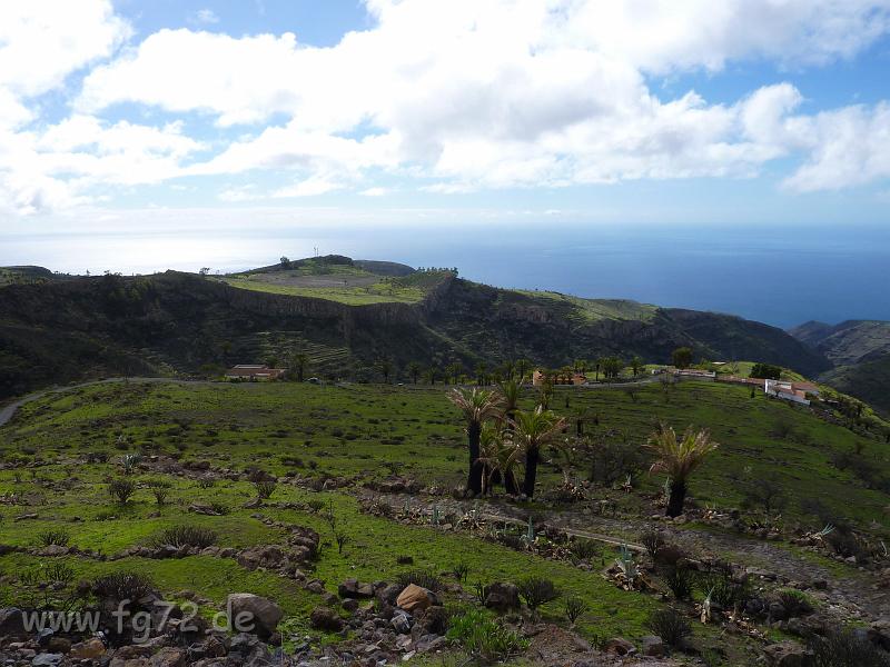 Teneriffa_11-2012_Bild_163.jpg