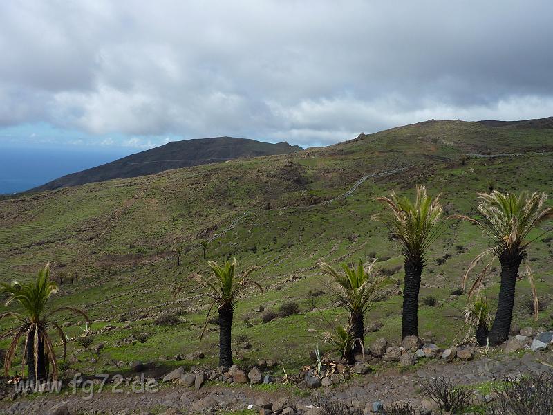 Teneriffa_11-2012_Bild_164.jpg