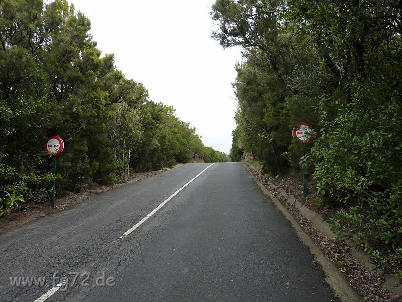 Teneriffa_11-2012_Bild_170.jpg