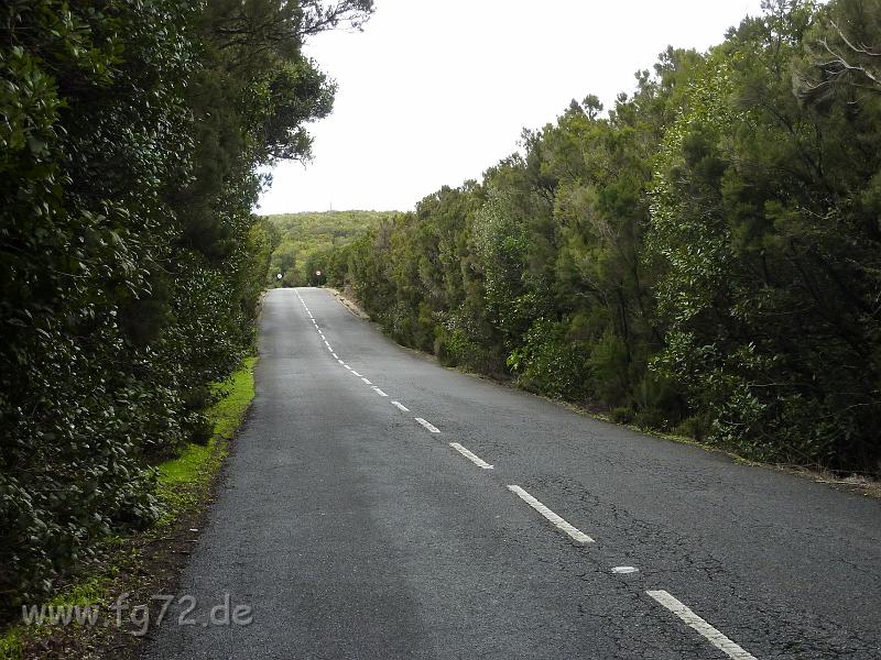 Teneriffa_11-2012_Bild_171.jpg